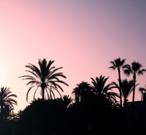Marbella Landscape